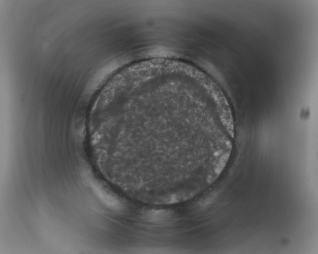 X0000111860063200909031801