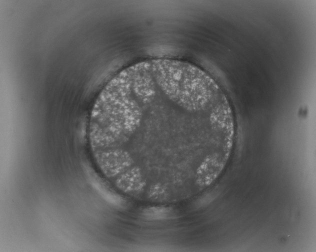 X0000111860065200909031801