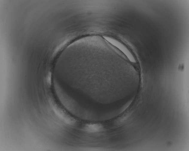 X0000111860067200909031801