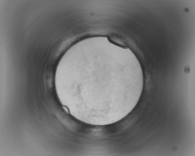 X0000111860068200909031801
