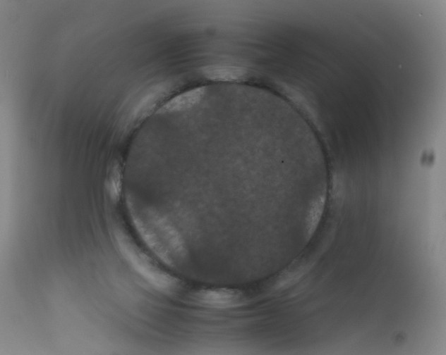 X0000111860069200909031801