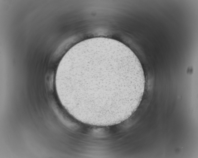 X0000111860070200909031801