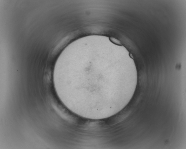 X0000111860072200909031801