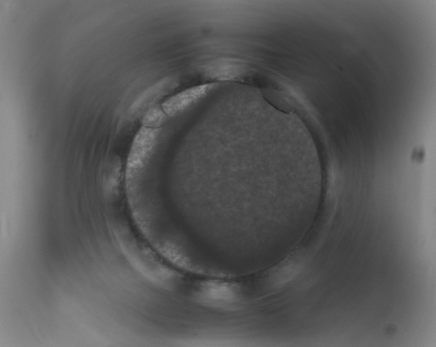 X0000111860073200909031801
