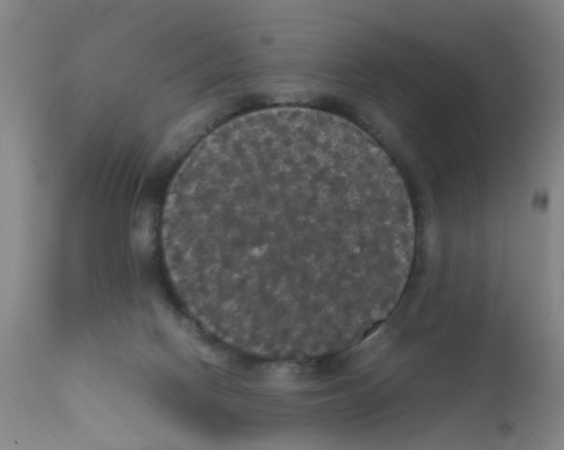 X0000111860074200909031801