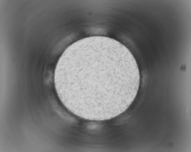 X0000111860077200909031801