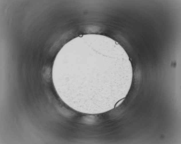 X0000111860079200909031801
