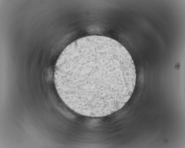 X0000111860081200909031801