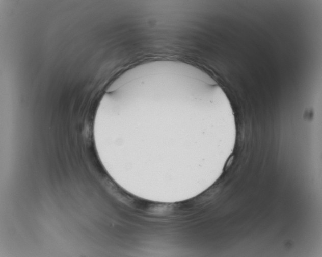 X0000111860084200909031801