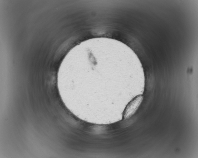 X0000111860085200909031801