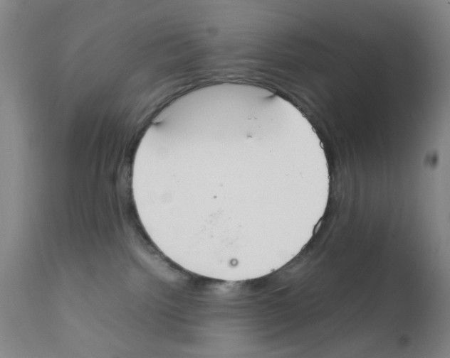 X0000111860092200909031802