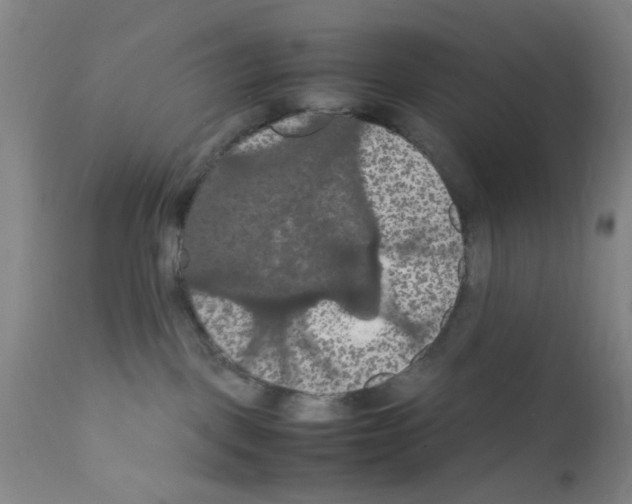 X0000111860093200909031802