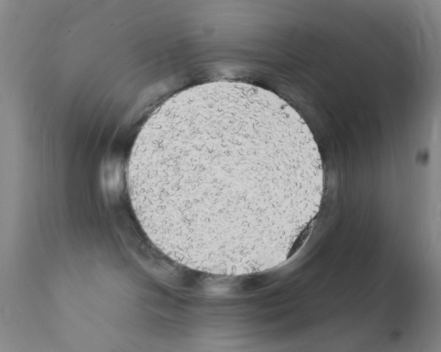X0000111860094200909031802
