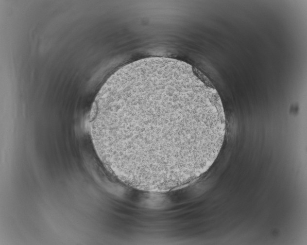 X0000111860095200909031802