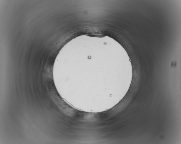 X0000111860096200909031802
