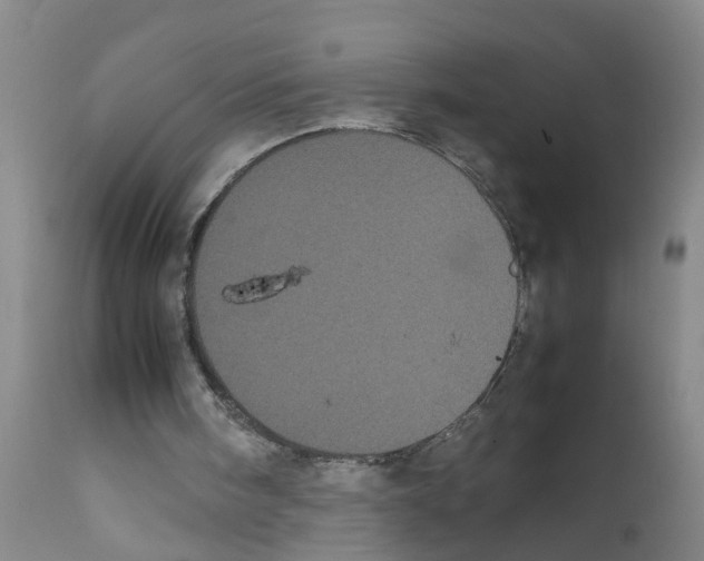 X0000111860098200909031801