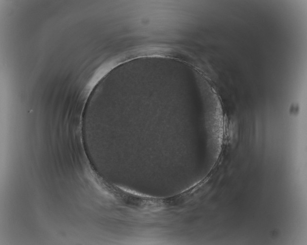X0000111860099200909031801