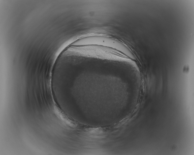 X0000111860100200909031801