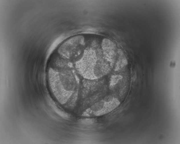 X0000111860102200909031801