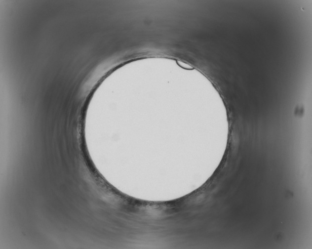 X0000111860103200909031801