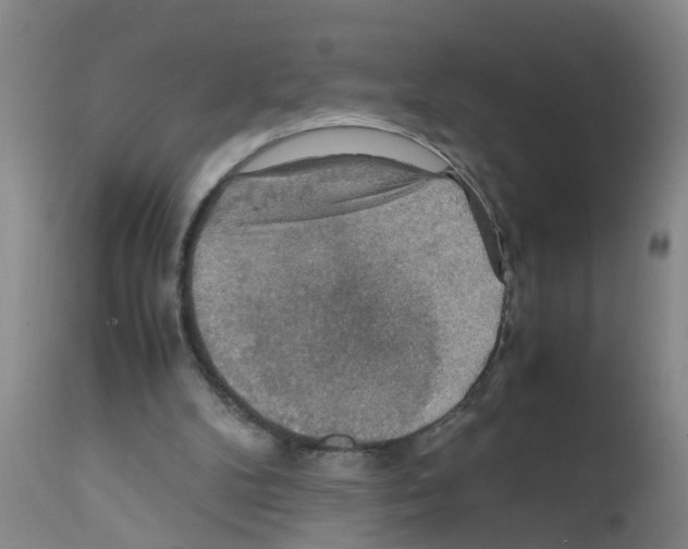 X0000111860104200909031801