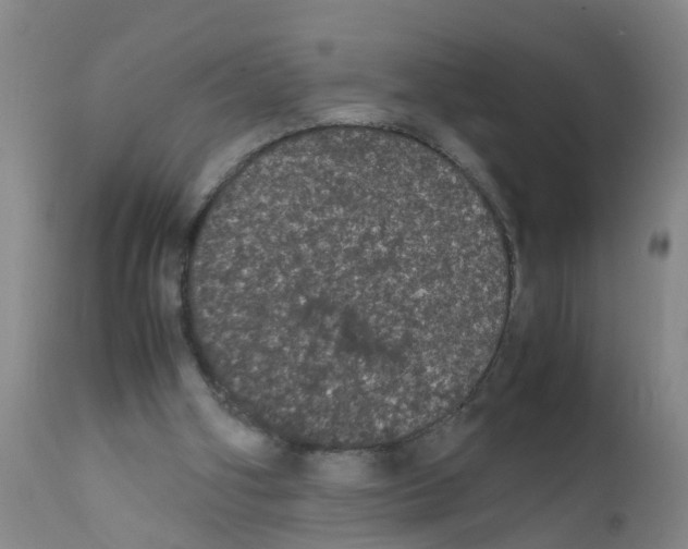 X0000111860106200909031801