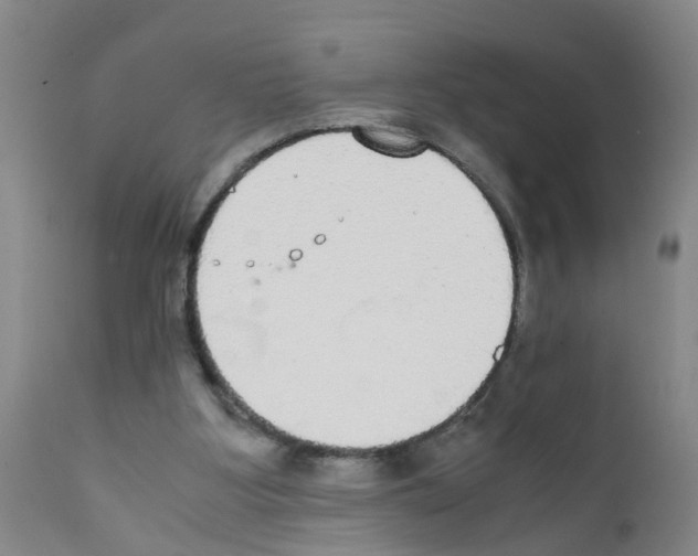 X0000111860107200909031801
