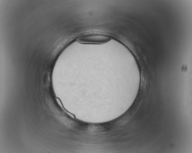 X0000111860109200909031801