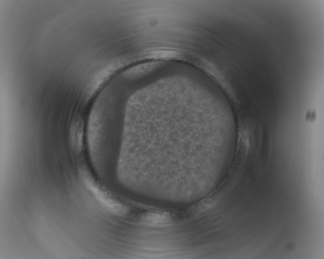 X0000111860110200909031801