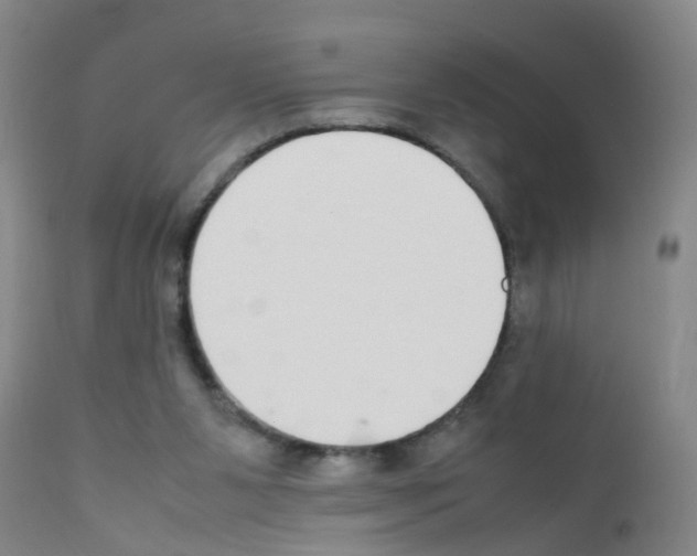 X0000111860111200909031801