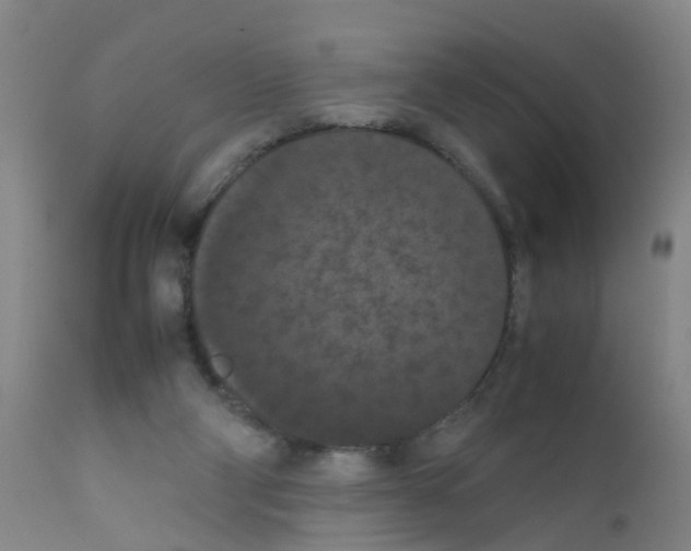 X0000111860114200909031801