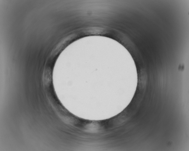 X0000111860119200909031801