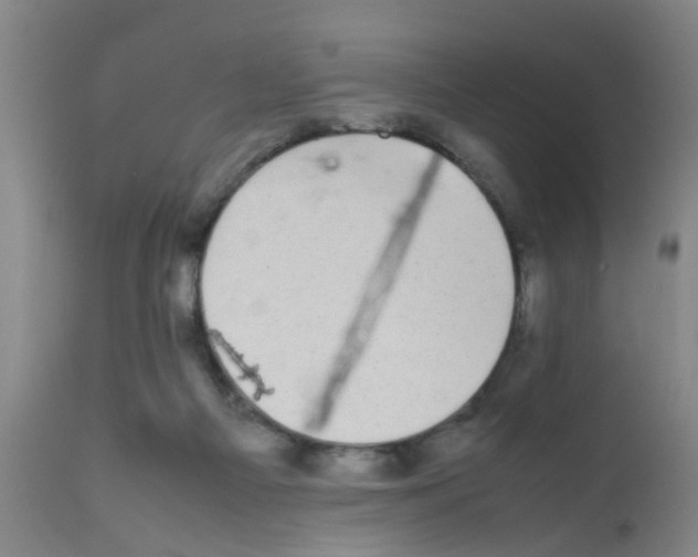 X0000111860121200909031801