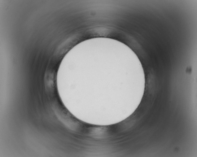 X0000111860122200909031801