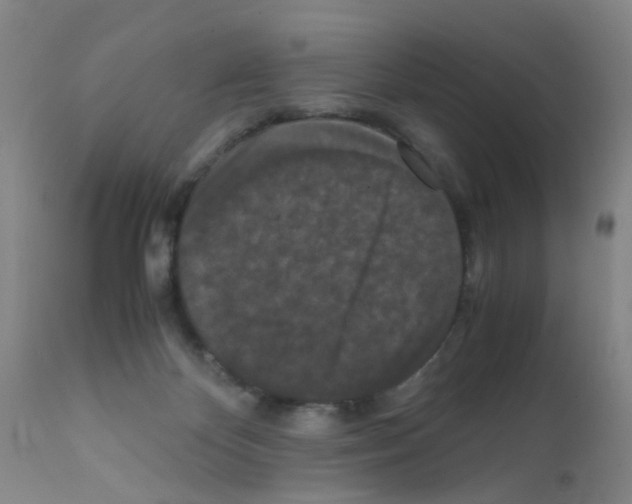 X0000111860124200909031800
