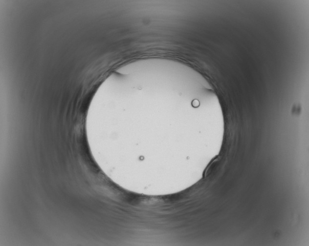 X0000111860125200909031800