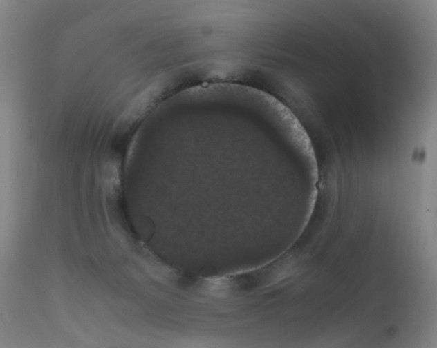 X0000111860127200909031800