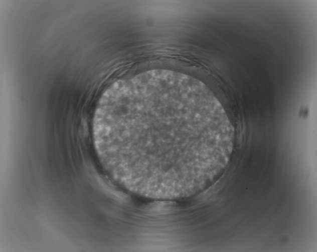 X0000111860128200909031800