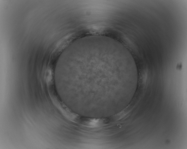 X0000111860130200909031800