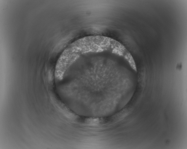 X0000111860131200909031800