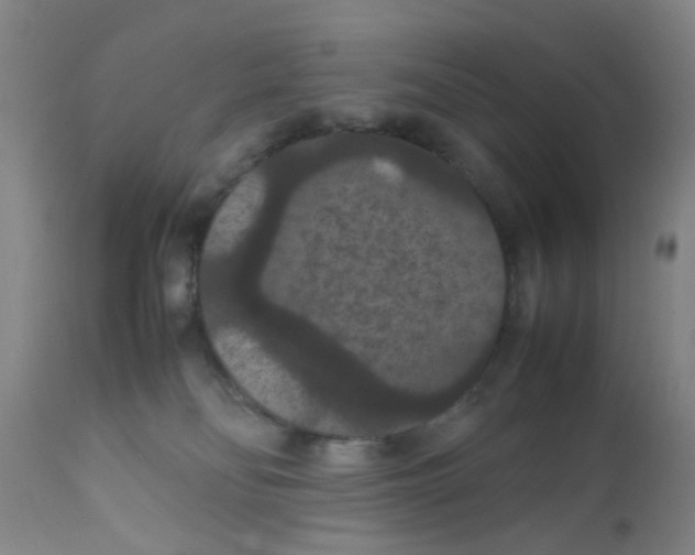 X0000111860134200909031800