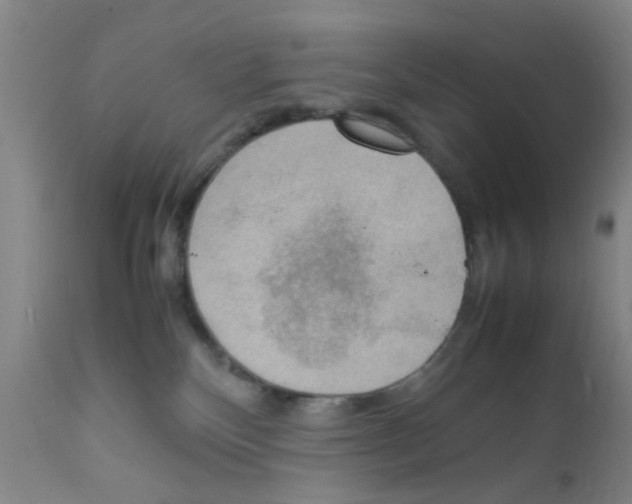 X0000111860136200909031800