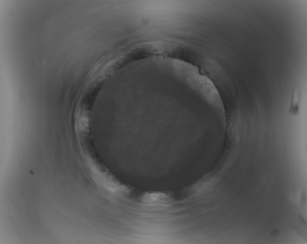 X0000111860137200909031800