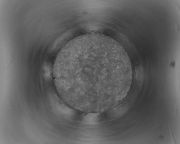 X0000111860138200909031800