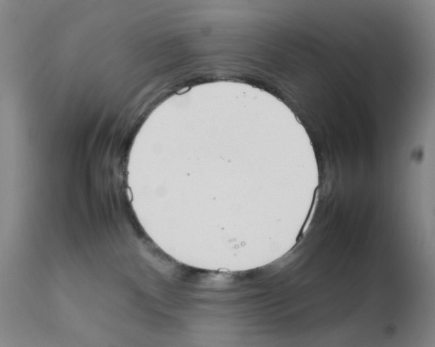 X0000111860140200909031800