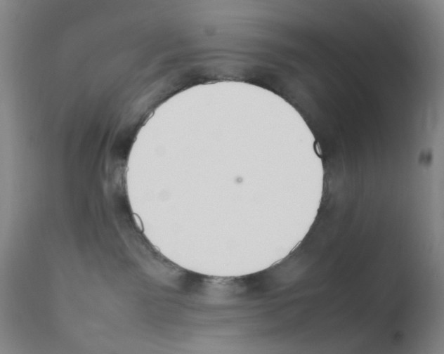 X0000111860141200909031800