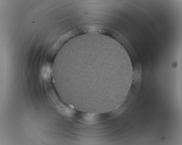 X0000111860142200909031800