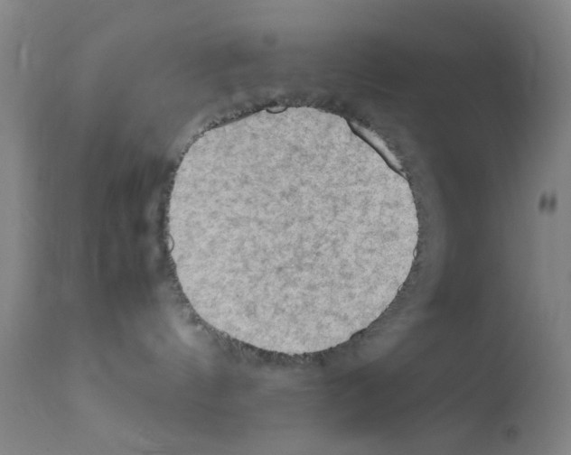X0000111860144200909031800