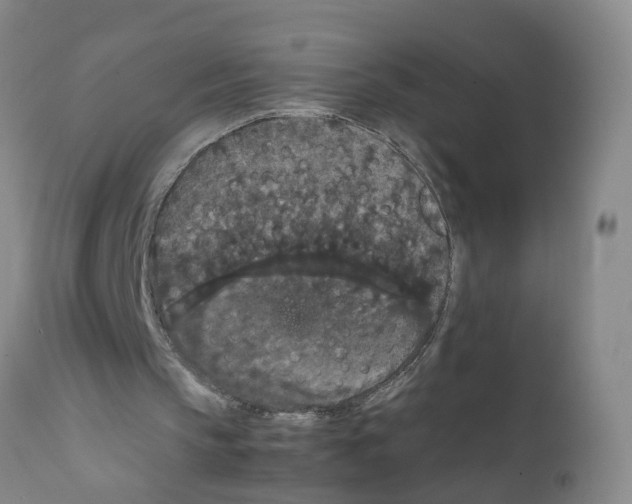 X0000111860145200909031759