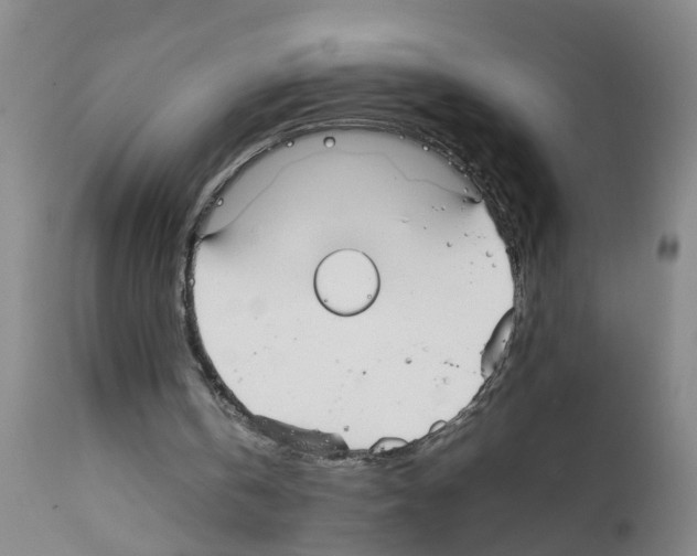 X0000111860146200909031759